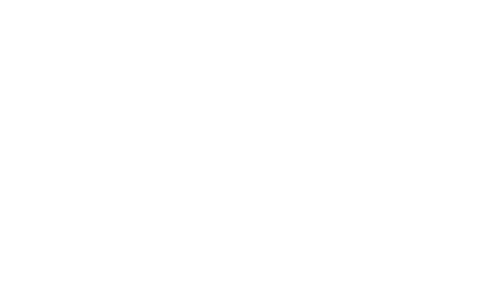 Icon Österreich